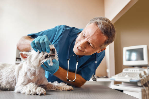 Best Walk-In Emergency Dentist in Snyder, OK